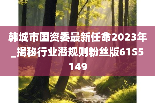 韩城市国资委最新任命2023年_揭秘行业潜规则粉丝版61S5149