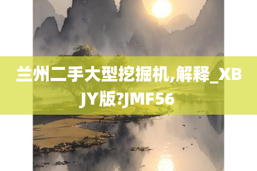 兰州二手大型挖掘机,解释_XBJY版?JMF56