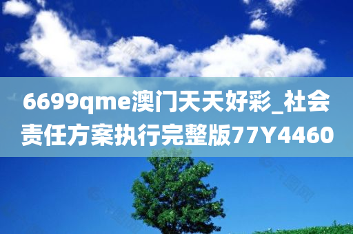 6699qme澳门天天好彩_社会责任方案执行完整版77Y4460