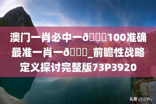 澳门一肖必中一🐎100准确最准一肖一🐎_前瞻性战略定义探讨完整版73P3920