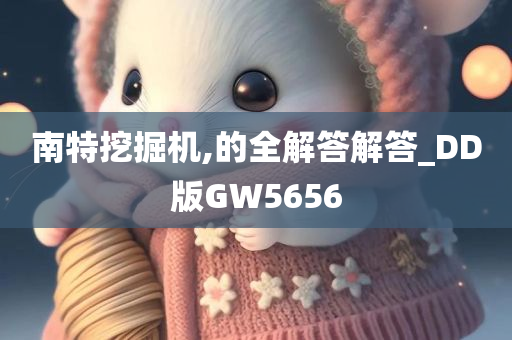 南特挖掘机,的全解答解答_DD版GW5656