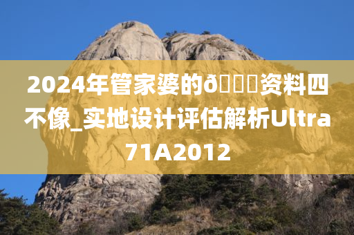 2024年管家婆的🐎资料四不像_实地设计评估解析Ultra71A2012