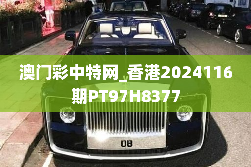 澳门彩中特网_香港2024116期PT97H8377