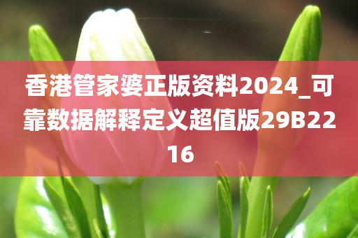 香港管家婆正版资料2024_可靠数据解释定义超值版29B2216