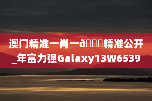 澳门精准一肖一🐎精准公开_年富力强Galaxy13W6539