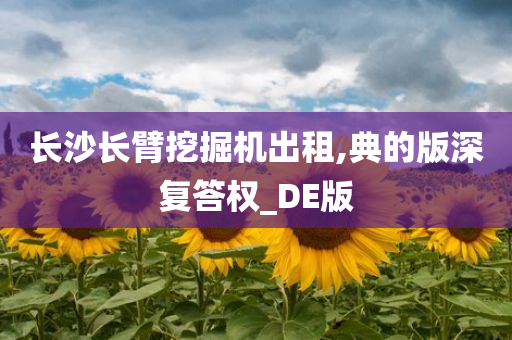 长沙长臂挖掘机出租,典的版深复答权_DE版