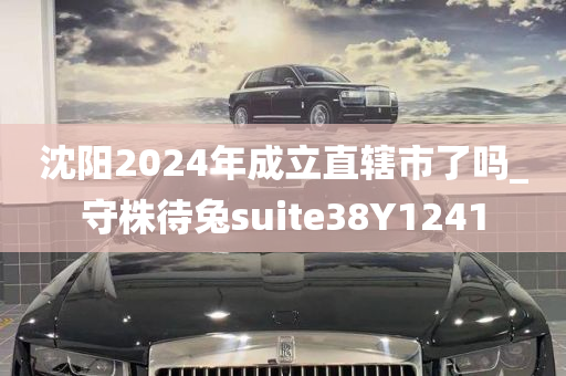 沈阳2024年成立直辖市了吗_守株待兔suite38Y1241