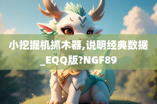 小挖掘机抓木器,说明经典数据_EQQ版?NGF89