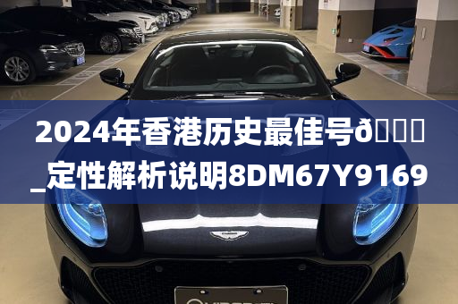 2024年香港历史最佳号🐎_定性解析说明8DM67Y9169