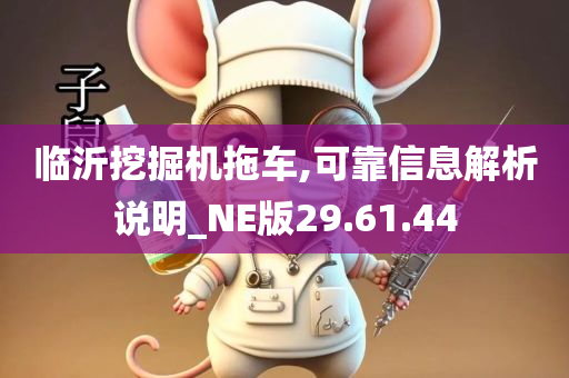 临沂挖掘机拖车,可靠信息解析说明_NE版29.61.44