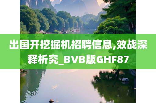 出国开挖掘机招聘信息,效战深释析究_BVB版GHF87