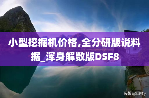 小型挖掘机价格,全分研版说料据_浑身解数版DSF8