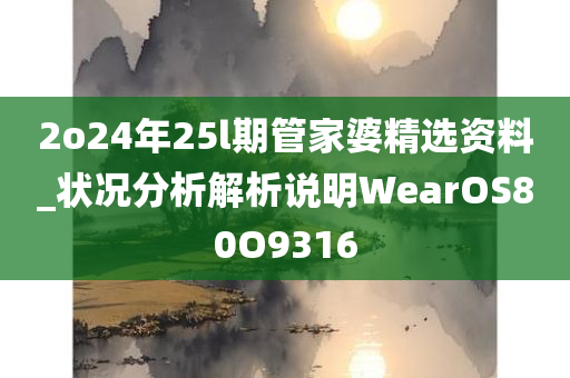 2o24年25l期管家婆精选资料_状况分析解析说明WearOS80O9316