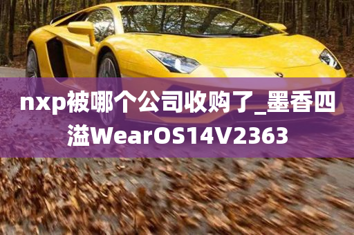 nxp被哪个公司收购了_墨香四溢WearOS14V2363