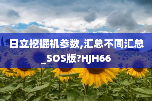 日立挖掘机参数,汇总不同汇总_SOS版?HJH66