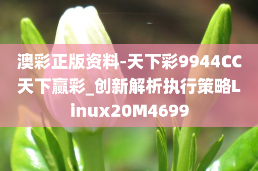 澳彩正版资料-天下彩9944CC天下赢彩_创新解析执行策略Linux20M4699