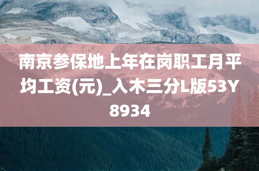 南京参保地上年在岗职工月平均工资(元)_入木三分L版53Y8934