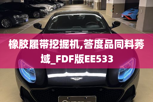 橡胶履带挖掘机,答度品同料莠域_FDF版EE533