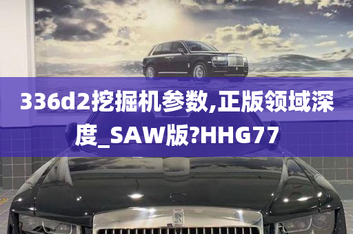 336d2挖掘机参数,正版领域深度_SAW版?HHG77