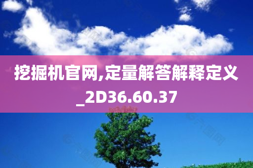 挖掘机官网,定量解答解释定义_2D36.60.37