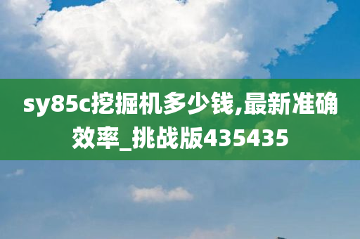 sy85c挖掘机多少钱,最新准确效率_挑战版435435