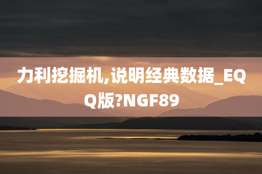 力利挖掘机,说明经典数据_EQQ版?NGF89