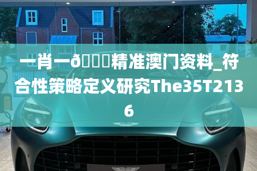 一肖一🐎精准澳门资料_符合性策略定义研究The35T2136