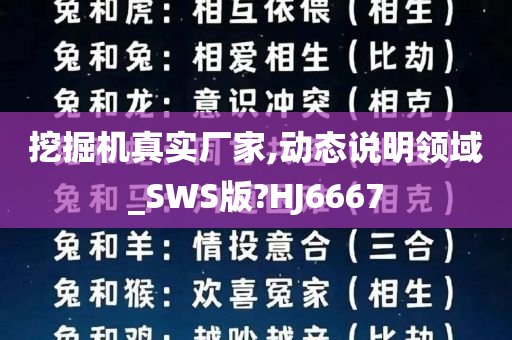 挖掘机真实厂家,动态说明领域_SWS版?HJ6667