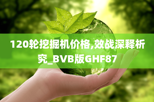 120轮挖掘机价格,效战深释析究_BVB版GHF87