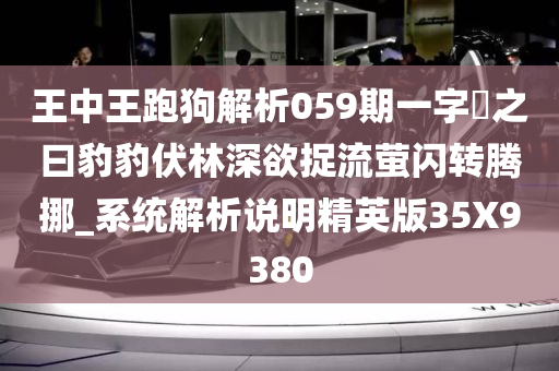 王中王跑狗解析059期一字記之曰豹豹伏林深欲捉流萤闪转腾挪_系统解析说明精英版35X9380