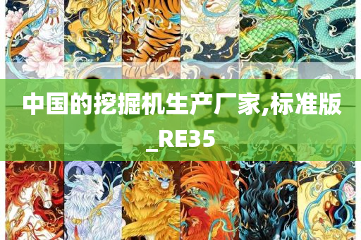 中国的挖掘机生产厂家,标准版_RE35