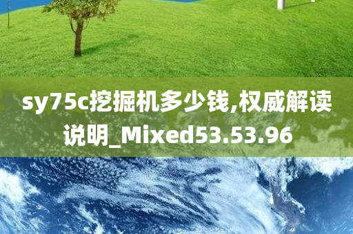 sy75c挖掘机多少钱,权威解读说明_Mixed53.53.96