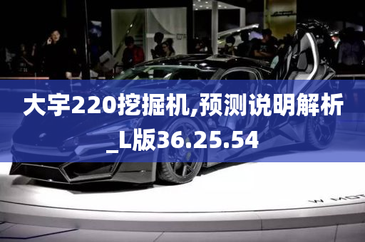 大宇220挖掘机,预测说明解析_L版36.25.54