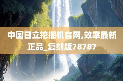 中国日立挖掘机官网,效率最新正品_复刻版78787