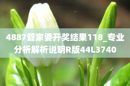 4887管家婆开奖结果118_专业分析解析说明R版44L3740