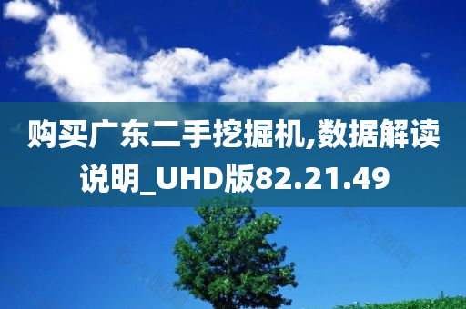 购买广东二手挖掘机,数据解读说明_UHD版82.21.49