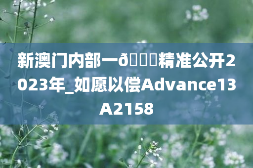 新澳门内部一🐎精准公开2023年_如愿以偿Advance13A2158