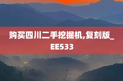 购买四川二手挖掘机,复刻版_EE533