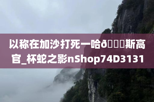 以称在加沙打死一哈🐎斯高官_杯蛇之影nShop74D3131