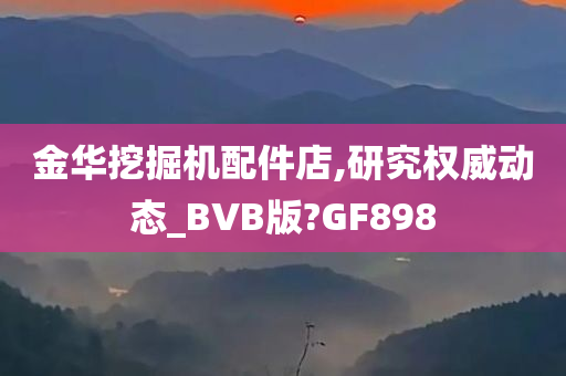 金华挖掘机配件店,研究权威动态_BVB版?GF898