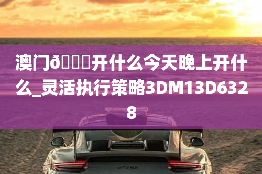 澳门🐎开什么今天晚上开什么_灵活执行策略3DM13D6328