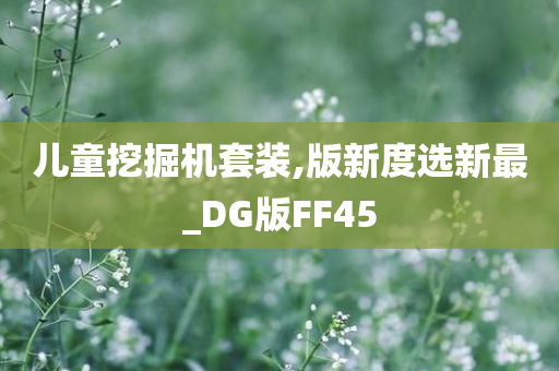 儿童挖掘机套装,版新度选新最_DG版FF45