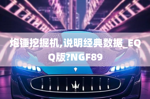 炮锤挖掘机,说明经典数据_EQQ版?NGF89