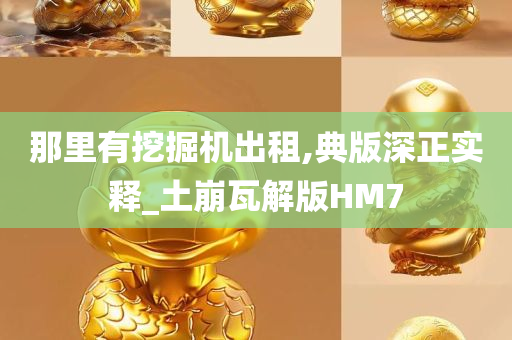 那里有挖掘机出租,典版深正实释_土崩瓦解版HM7