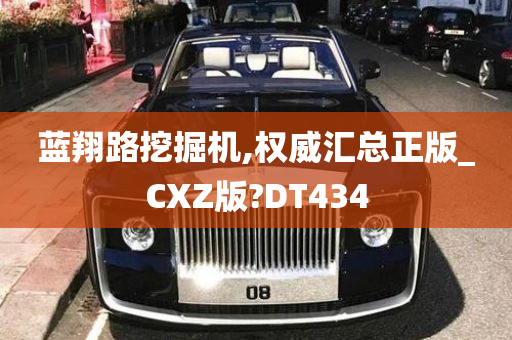 蓝翔路挖掘机,权威汇总正版_CXZ版?DT434