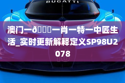 澳门一🐎一肖一特一中匠生活_实时更新解释定义SP98U2078