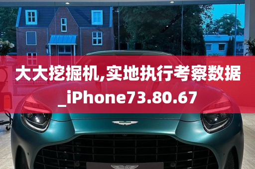 大大挖掘机,实地执行考察数据_iPhone73.80.67