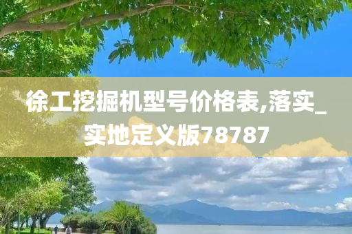 徐工挖掘机型号价格表,落实_实地定义版78787