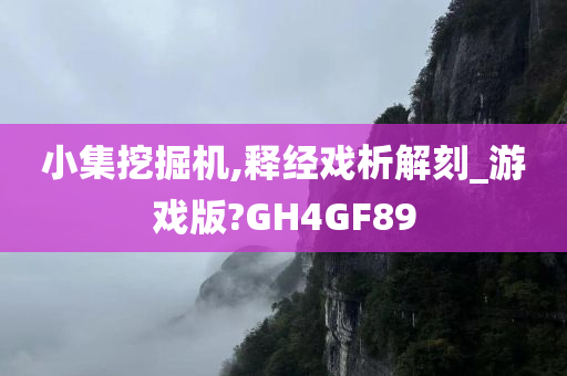 小集挖掘机,释经戏析解刻_游戏版?GH4GF89