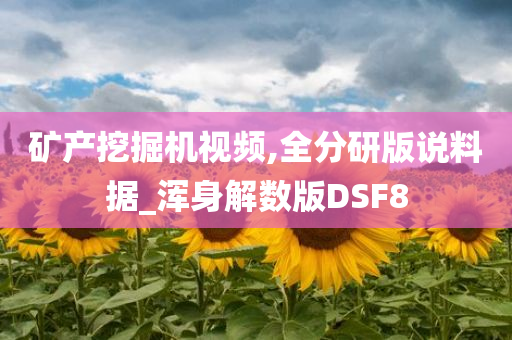 矿产挖掘机视频,全分研版说料据_浑身解数版DSF8